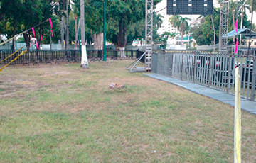 RENTA DE GRADAS PARA EVENTOS EN MÉXICO